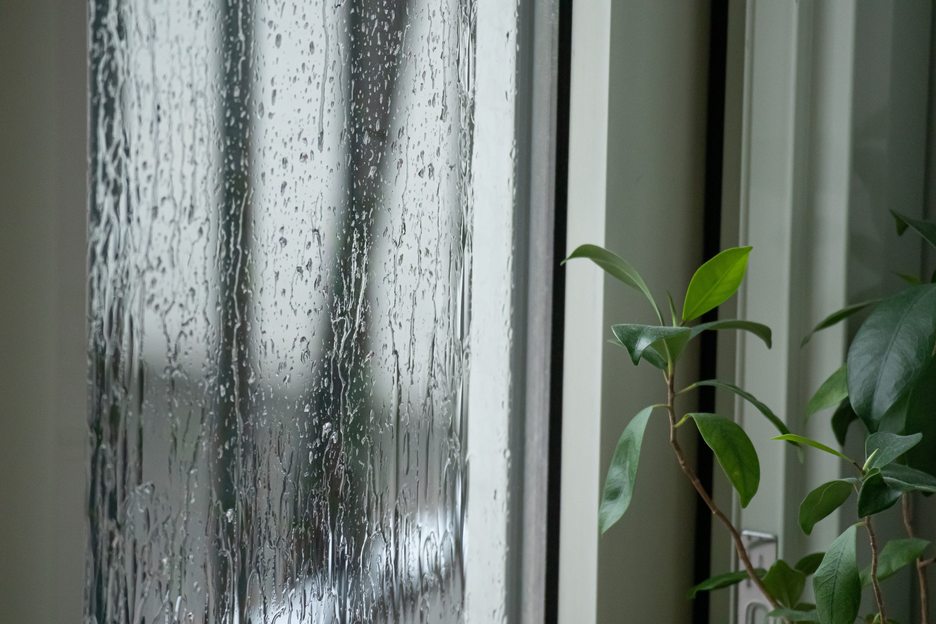 窓サッシの状況