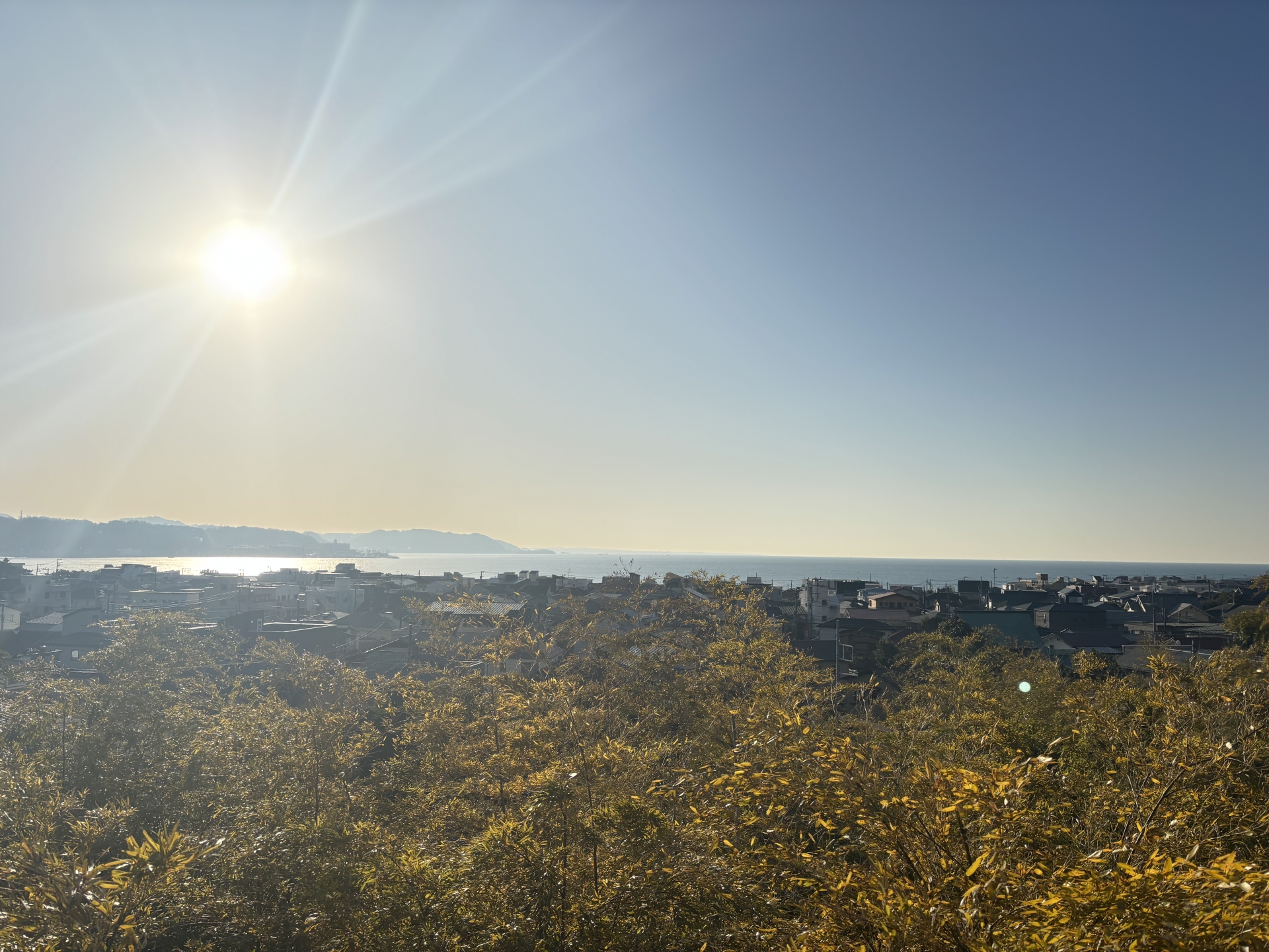 日射の写真。記事テーマに合致します。